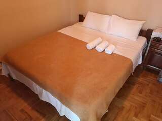 Отель Hotel Delta Плевля Стандартный двухместный номер с 1 кроватью-8