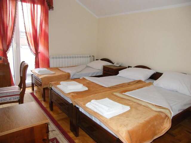 Отель Hotel Delta Плевля-34
